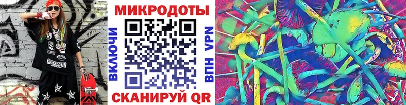 Галлюциногенные грибы Psilocybe  Калининск 